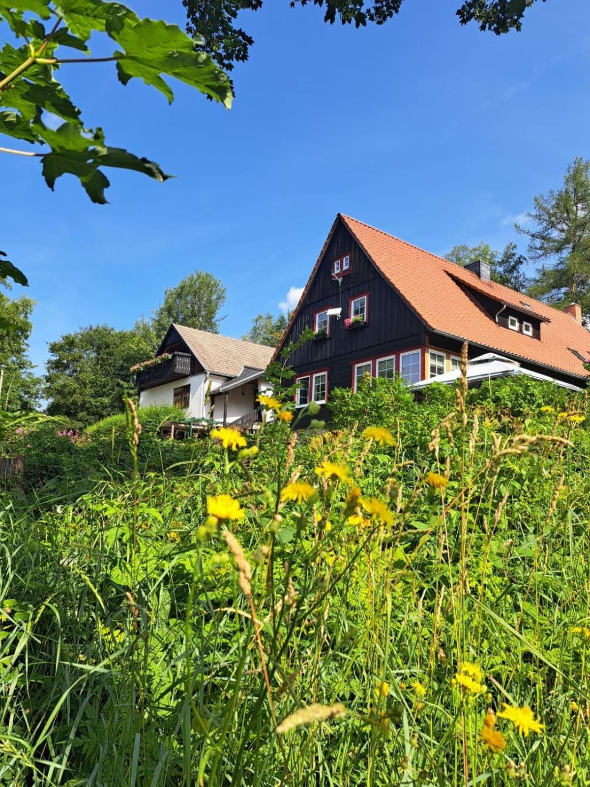 Haus Erna Schierke Apartment ภายนอก รูปภาพ